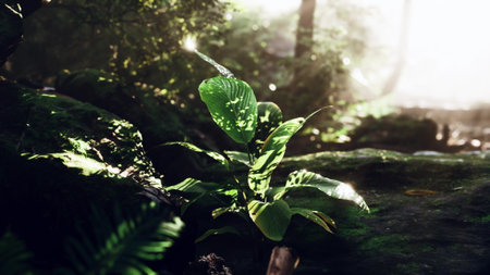 Sunlight filters through the dense canopy, creating a magical glow around a vibrant young plant....