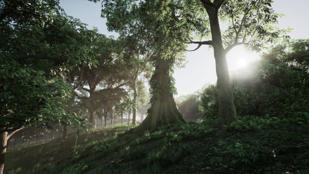 In a peaceful forest, sunlight gently breaks through lush green trees, casting soft shadows on the ground. A tranquil atmosphere surrounds the vibrant, flourishing nature.の写真素材