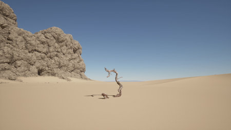 A solitary, twisted tree reaches for the sky in the heart of a sprawling desert. Surrounding it is endless sand, contrasting with a rocky formation nearby under the midday sun.の写真素材