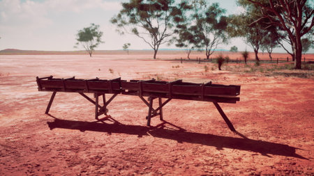 A solitary wooden trough rests in a dry, red landscape during dusk. With sparse trees dotting the horizon, the scene evokes a sense of stillness and isolation in nature.の写真素材