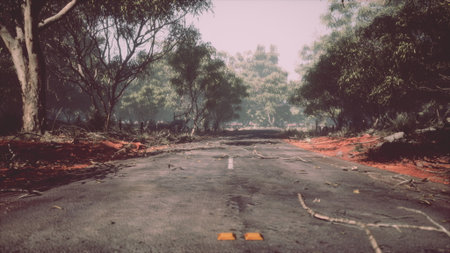 A narrow road winds through a tranquil forest, marked by fallen branches and vivid red earth. The scene captures the quiet aftermath of a recent storm, with sunlight filtering through the trees.の写真素材
