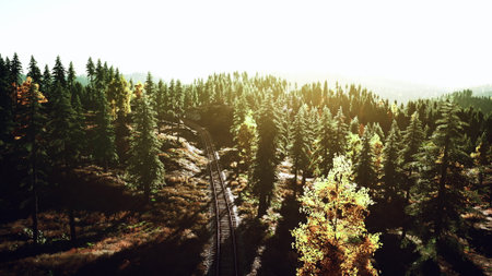 Golden sunlight spills over lush trees as train tracks meander through the tranquil forest. Autumn colors brighten the scenery, creating a peaceful atmosphere. Nature thrives here.の写真素材