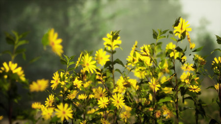 In a serene forest, vibrant yellow flowers sway gently in the breeze. Sunlight breaks through the mist, illuminating the beauty of natures growth, creating a peaceful atmosphere.の写真素材