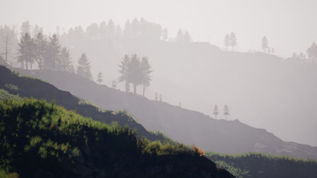 A serene mountain landscape unfolds at dawn, with soft mist enveloping rolling hills. Silhouettes of trees create a tranquil atmosphere, inviting exploration and reflection in natures embrace.の写真素材