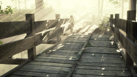 Soft beams of light cascade through lush foliage, casting gentle shadows on a peaceful wooden bridge. Nature thrives around this tranquil path, inviting exploration and wonder.の写真素材
