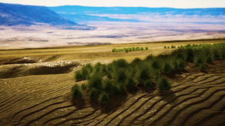 Vibrant green plants break through the dry earth, catching sunlight across the rolling hills. Vast horizons stretch in the background under a clear blue sky, showcasing natures resilience.の写真素材