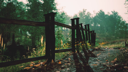 A tranquil forest path is lined with a rustic wooden fence, surrounded by vibrant autumn leaves. Soft light filters through the trees, creating a peaceful atmosphere for leisurely strolls.の写真素材
