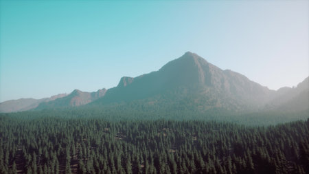 Tall mountains loom over a sea of green trees as the sun begins to rise. The early morning light casts a serene glow over the landscape, creating a peaceful atmosphere in nature.の写真素材