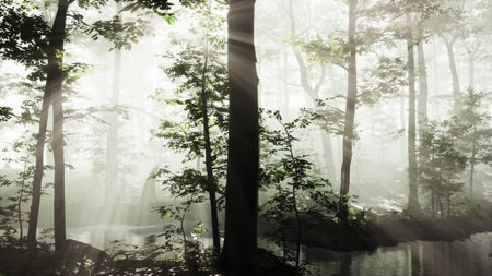 Sunlight streams gently through a misty forest, casting soft shadows around tall trees. The tranquil setting reflects natures beauty at early morning in a peaceful woodland.の写真素材