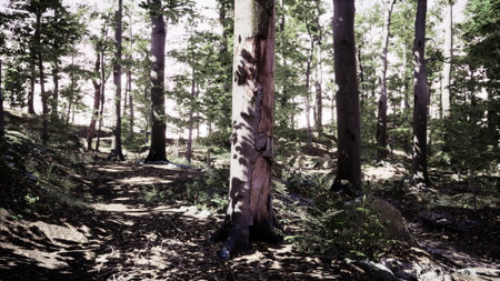 Sunlight spills through tall trees, casting intricate shadows on the forest floor. Green ferns and...