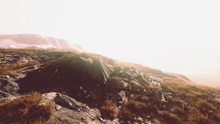 Golden grass sways gently in the early morning light as rocky hills rise in the distance. A soft mist blankets the valleys, hinting at a tranquil day ahead in natures embrace.の写真素材