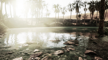 A tranquil oasis rests peacefully between tall palm trees, reflecting sunlight on calm waters. The scene feels warm and inviting, with the sun casting golden rays over the landscape.の写真素材