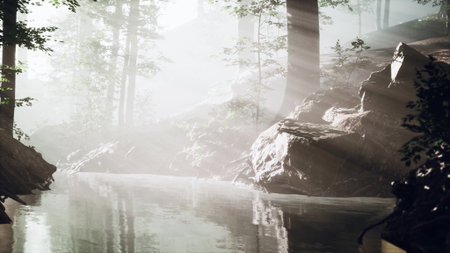 Soft sunlight breaks through dense fog in a peaceful forest setting. A calm river gently reflects the surrounding trees, creating a tranquil atmosphere perfect for relaxation.の写真素材