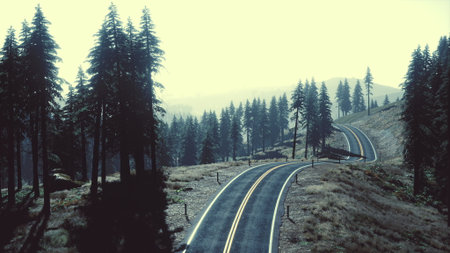 A winding road stretches into the distance, surrounded by tall pine trees and a soft fog. The early...