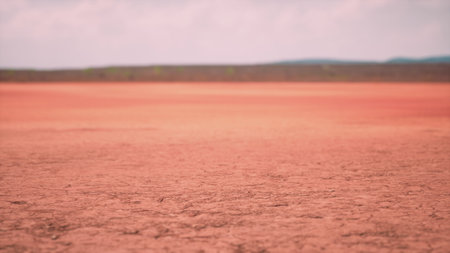 The scene showcases a vast expanse of cracked earth, painted in warm hues. Under a bright sky, the unique patterns reveal the effects of a dry climate in this serene landscape.の写真素材