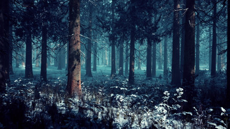 In a tranquil forest during winter, tall trees stand covered in fresh snow. The soft light filters through the branches, creating a mystical atmosphere. A sense of peace surrounds the scene.の写真素材