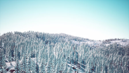 Tall evergreen trees blanket the landscape in fresh snow, creating a serene winter wonderland. The bright blue sky contrasts beautifully with the white scenery, inviting adventure.の写真素材