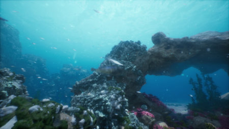 Beneath the sparkling surface, colorful fish swim around intricate coral structures in a lively underwater ecosystem, showcasing the beauty of ocean life at midday.の写真素材