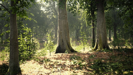 A peaceful forest scene unfolds with sunlight streaming between the tall trees. Lush greenery...