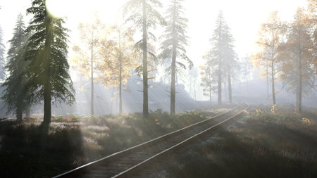Soft morning light filters through tall trees, illuminating a winding train track in a peaceful...