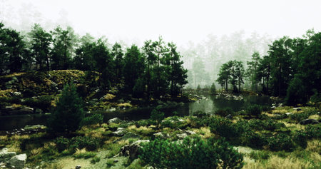 A tranquil setting features dense trees and a calm lake surrounded by rocks and grass. Early morning...