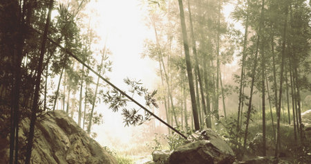Sunlight streams through a dense bamboo forest, illuminating green foliage and creating a serene atmosphere amid rocks. The scene captures the beauty of nature in a tranquil setting.の写真素材