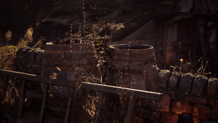 Sunlight casts a warm glow on vintage jars positioned on a rustic stone wall, surrounded by dried...