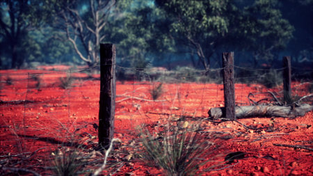 A striking landscape showcases rich red soil marked by weathered wooden fence posts. Surrounding greenery adds depth to the scene, creating a tranquil atmosphere beneath a clear sky.の写真素材