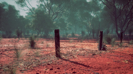 Sunlight filters through the trees in a vibrant outback setting, casting shadows on the striking red earth. Weathered wooden posts rise from the dusty ground, hinting at past activity.の写真素材