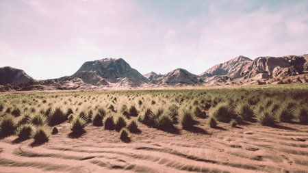 Golden sands stretch out to the horizon, while rugged mountains dominate the background. Lush green plants dot the arid terrain, creating a striking contrast in this serene desert vista.の写真素材