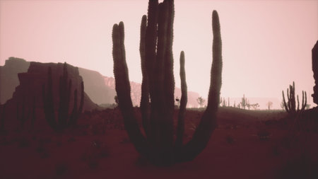 As the sun sets, towering cacti cast long shadows across the desolate desert floor. The warm, soft light creates an atmosphere of tranquility, highlighting the beauty of natures forms.の写真素材