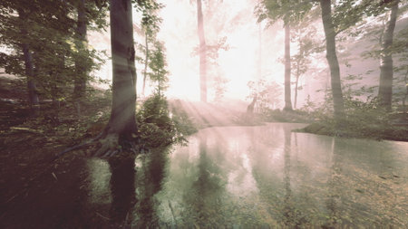Golden rays of light pierce through the dense foliage in a tranquil forest. The calm water reflects the surrounding trees, creating a peaceful atmosphere full of natural beauty.の写真素材