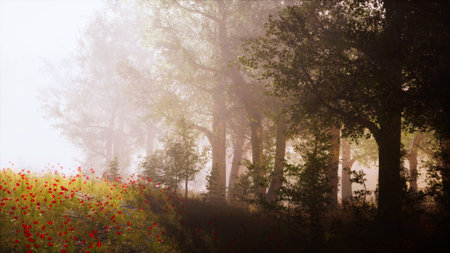 A beautiful forest scene unfolds in the early morning light. Mist rises gently from the ground, highlighting vibrant wildflowers that bloom near the tree line. The tranquility of nature is palpable.の写真素材