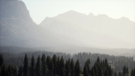 Majestic mountains rise in the distance, softened by morning mist. Tall evergreen trees fill the foreground, creating a peaceful and serene atmosphere in nature.の写真素材