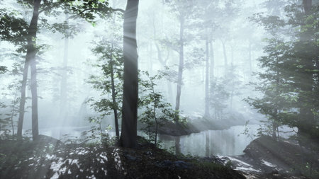 In a serene forest, soft beams of sunlight filter through the mist, creating a magical atmosphere.の写真素材