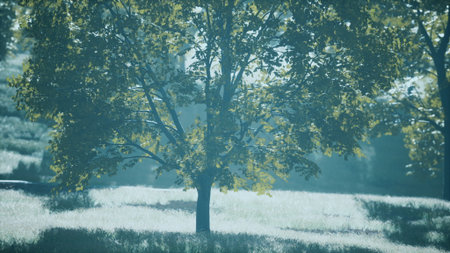 In a peaceful meadow, gentle autumn light cascades through the vibrant leaves of a standing tree, creating a tranquil ambiance in natures embrace. Soft grass sways lightly in the breeze.の写真素材