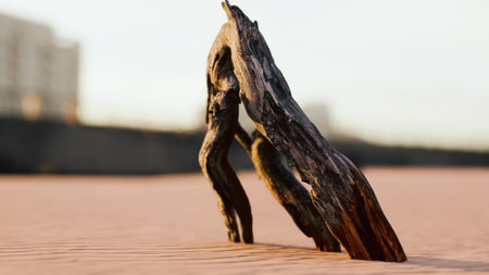 A striking piece of driftwood stands tall on the sandy beach, illuminated by the warm glow of sunset. The serene atmosphere captures natures art, inviting quiet reflection.の写真素材
