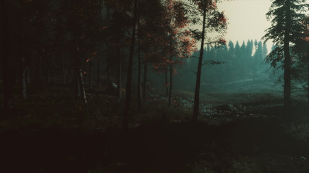 In a tranquil forest at twilight, soft shadows dance among tall trees. The fading light reveals hints of wildlife and beckons explorers to uncover natures secrets as day turns to night.の写真素材