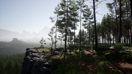 Bright sunlight filters through tall pine trees, illuminating a rocky ledge. In the background,...