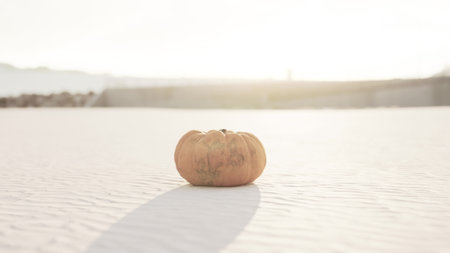A solitary pumpkin sits gently on soft, white sand as the sun begins to set. The warm light creates a serene atmosphere and highlights the pumpkins natural colors against the landscape.の写真素材