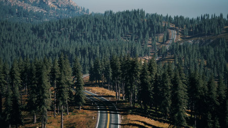 A beautiful winding road cuts through a dense forest of tall pine trees. The sun shines brightly, casting shadows on the asphalt, inviting travelers into natures embrace.の写真素材