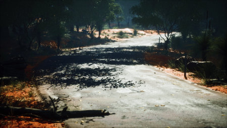 A serene dirt road meanders through a lush, sunlit forest. Shadows from trees play across the path, creating a peaceful atmosphere, inviting adventure and exploration.の写真素材
