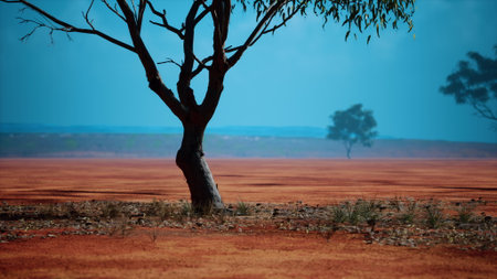 A striking scene unfolds on vast red soil, where a solitary tree stands tall against a backdrop of a brilliant blue sky. In the distance, more trees dot the horizon, showcasing natures beauty.の写真素材