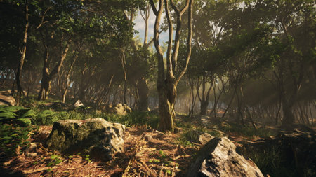 Sunlight streams through dense trees in a tranquil forest. Soft rays create a magical atmosphere, highlighting rocky paths and vibrant green foliage. Nature shows its serene beauty.の写真素材