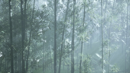 Soft light penetrates a serene bamboo forest at dawn, creating a magical atmosphere. The mist...