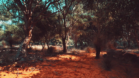 A striking scene unfolds in the outback, showcasing a landscape filled with lush trees casting...