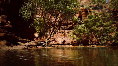 Bright sunlight dances on the calm water, reflecting vivid colors of surrounding cliffs. Graceful...