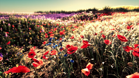 A stunning view of vibrant wildflowers in a field showcases shades of red, purple, and blue under...