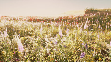 A beautiful field is covered in colorful wildflowers, swaying gently in the warm breeze. The sun...