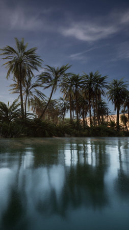 Under a soft dusk, palm trees surround a serene oasis. The water reflects the trees and the calm atmosphere creates a peaceful retreat in natures embrace.の写真素材